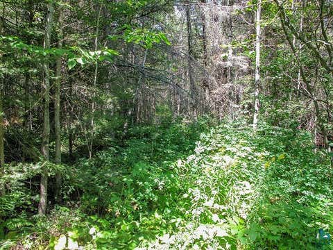 Tiny photo for 379 Onion River Rd, Tofte, MN 55615 (MLS # 6127465)