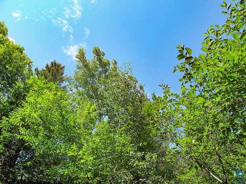 Tiny photo for 379 Onion River Rd, Tofte, MN 55615 (MLS # 6127465)