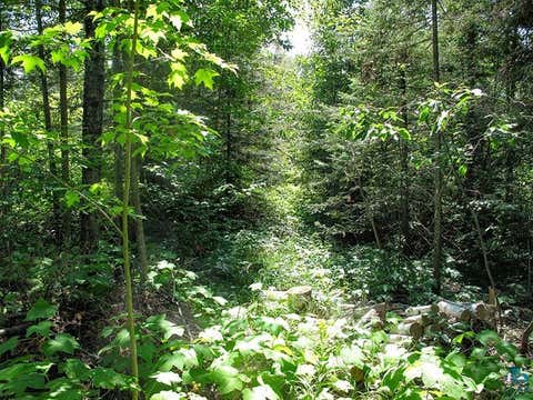 Tiny photo for 379 Onion River Rd, Tofte, MN 55615 (MLS # 6127465)