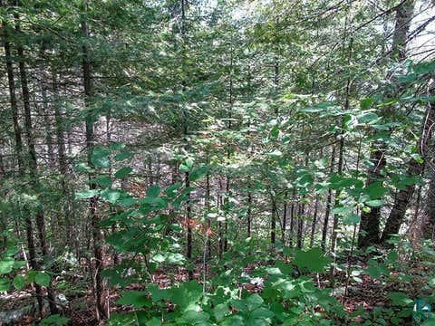 Tiny photo for 379 Onion River Rd, Tofte, MN 55615 (MLS # 6127465)
