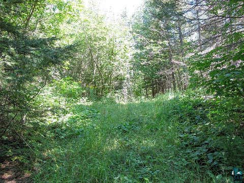 Tiny photo for 379 Onion River Rd, Tofte, MN 55615 (MLS # 6127465)