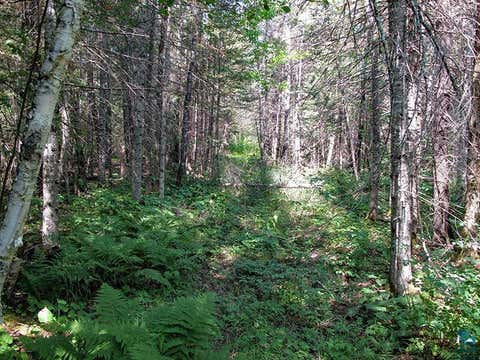 Tiny photo for 379 Onion River Rd, Tofte, MN 55615 (MLS # 6127465)
