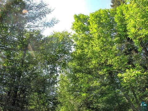 Tiny photo for 379 Onion River Rd, Tofte, MN 55615 (MLS # 6127465)