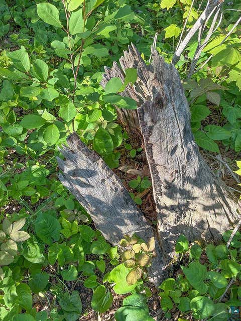Tiny photo for 379 Onion River Rd, Tofte, MN 55615 (MLS # 6127465)