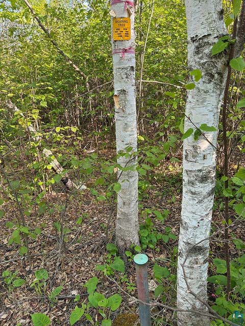 Tiny photo for 379 Onion River Rd, Tofte, MN 55615 (MLS # 6127465)