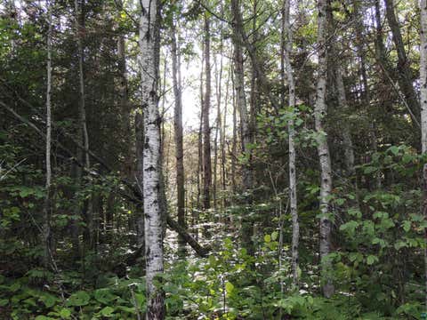 Tiny photo for 3 Cougar Tr, Grand Marais, MN 55604 (MLS # 6126924)