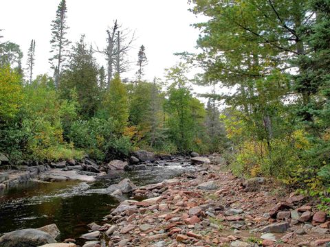 Tiny photo for 7185 Hwy 1, Finland, MN 55603 (MLS # 6124974)