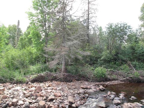 Tiny photo for 7185 Hwy 1, Finland, MN 55603 (MLS # 6124974)