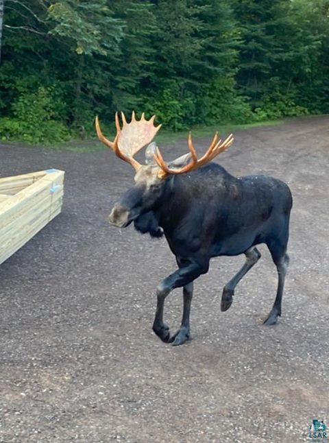 Tiny photo for 7185 Hwy 1, Finland, MN 55603 (MLS # 6124974)