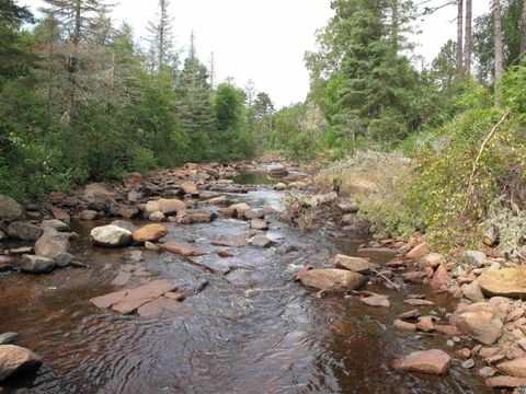 Tiny photo for 7185 Hwy 1, Finland, MN 55603 (MLS # 6124974)