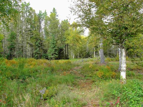 Tiny photo for 7185 Hwy 1, Finland, MN 55603 (MLS # 6124974)