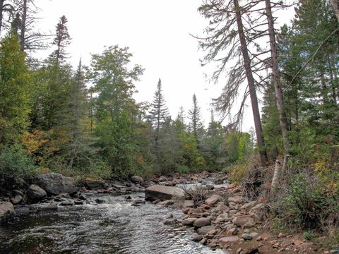 Tiny photo for 7185 Hwy 1, Finland, MN 55603 (MLS # 6124974)
