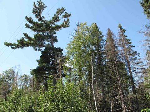 Tiny photo for 7185 Hwy 1, Finland, MN 55603 (MLS # 6124974)