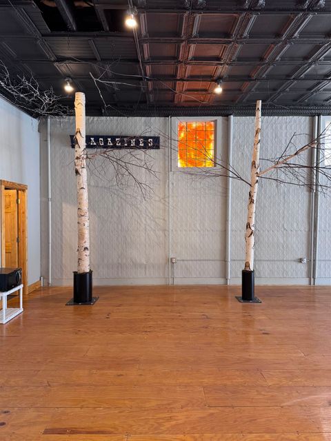 Tiny photo for 601 1st Ave, Two Harbors, MN 55616 (MLS # 6122521)