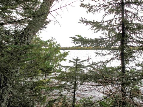 Tiny photo for 3 Fullerton Rd, Hovland, MN 55606 (MLS # 6122624)