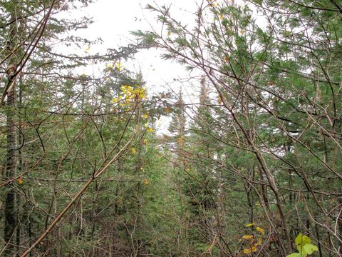 Tiny photo for 3 Fullerton Rd, Hovland, MN 55606 (MLS # 6122624)