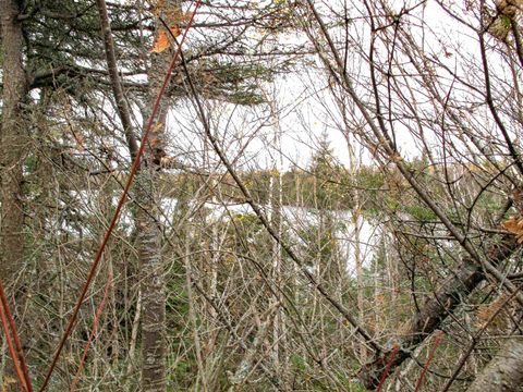 Tiny photo for 3 Fullerton Rd, Hovland, MN 55606 (MLS # 6122624)