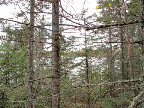 Tiny photo for 3 Fullerton Rd, Hovland, MN 55606 (MLS # 6122624)