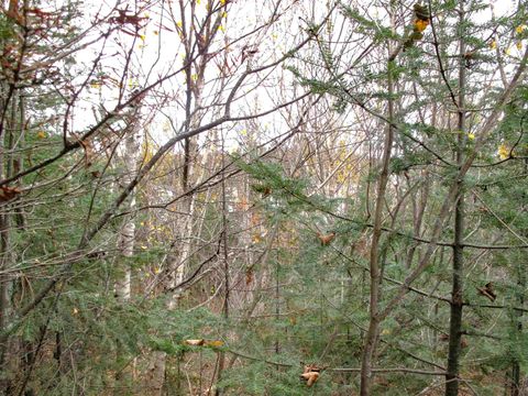 Tiny photo for 3 Fullerton Rd, Hovland, MN 55606 (MLS # 6122624)