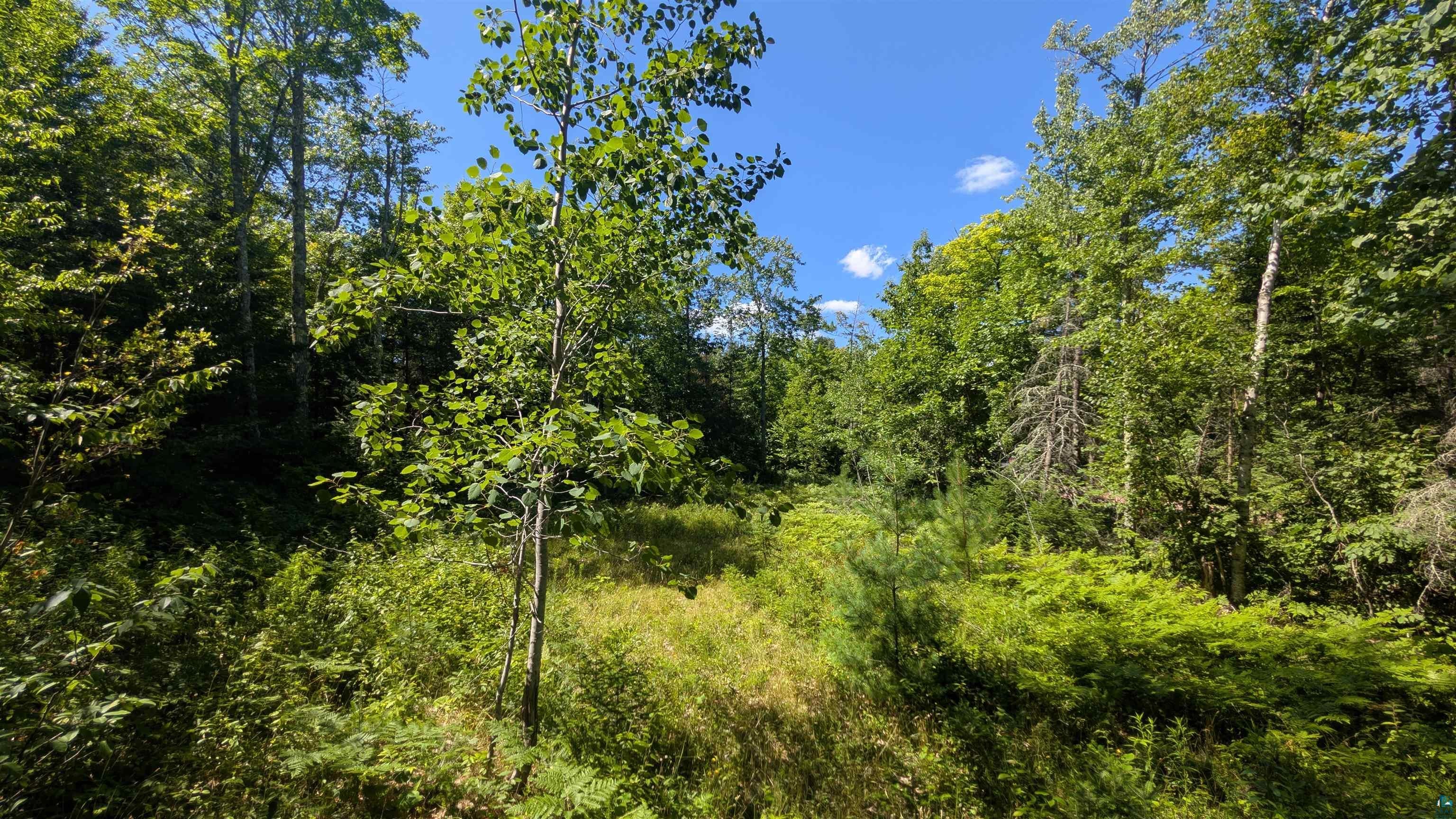 32XXX Lake Caroline Rd