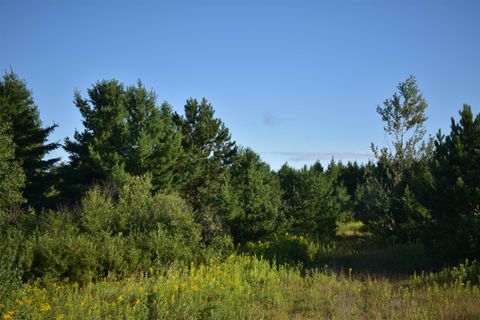 30210 Wannebo Rd Washburn WI 54891