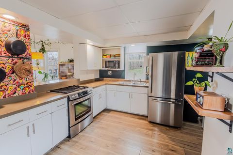 Tiny photo for 617 W 2nd St, Duluth, MN 55806 (MLS # 6125029)