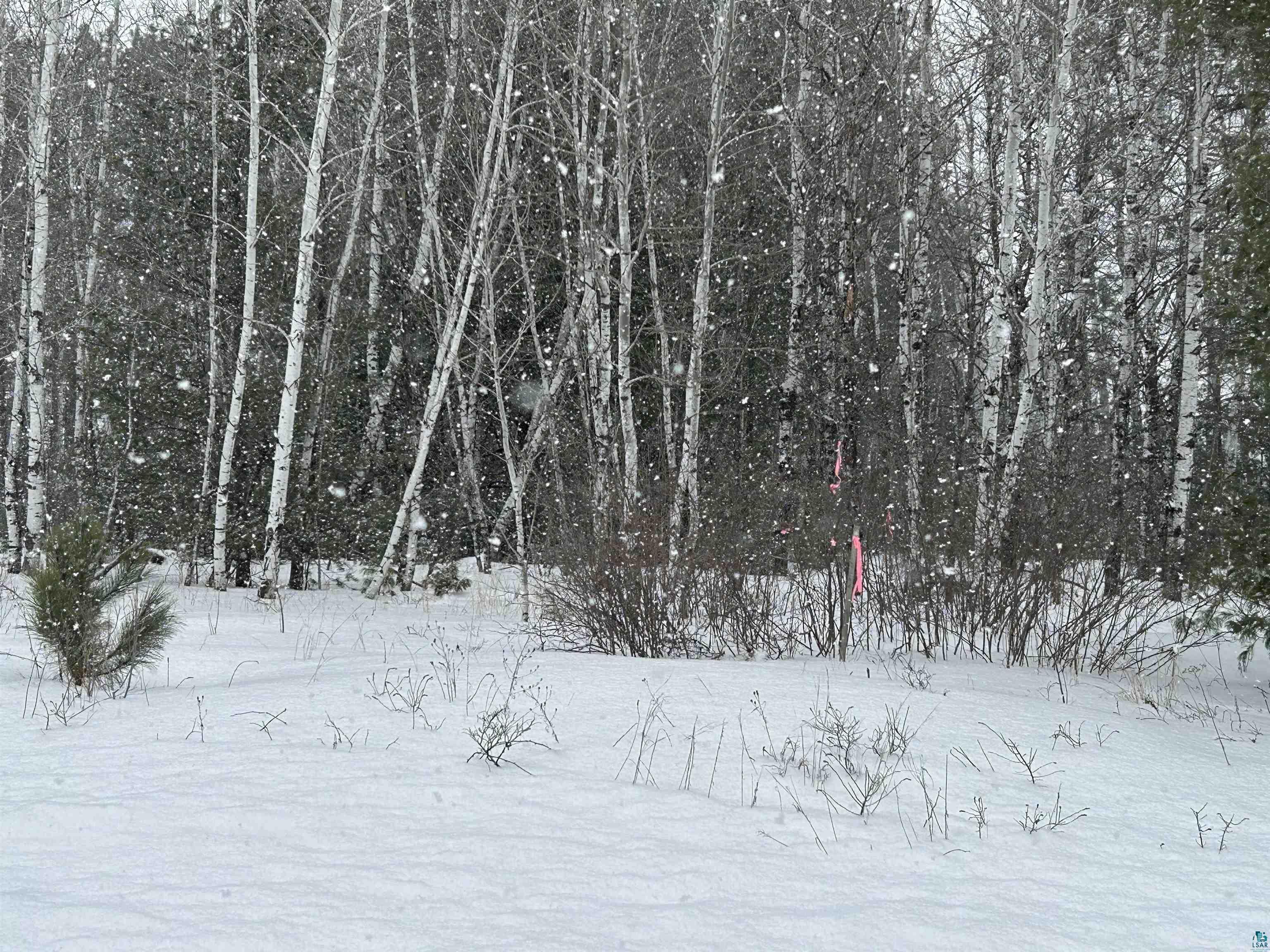 Lot 4 North Shore Dr