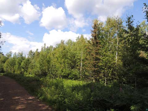 Photo of 1 Cougar Tr, Grand Marais, MN 55604 (MLS # 6126905)