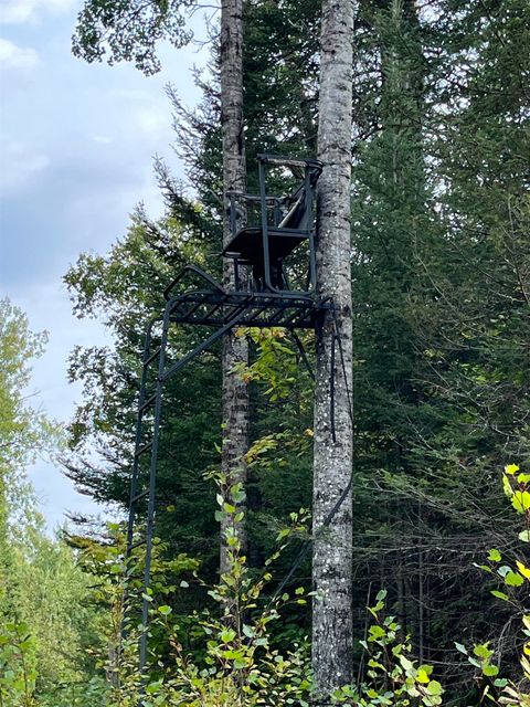 Tiny photo for XXX-A S Lost Lake Rd, Hovland, MN 55606 (MLS # 6122619)