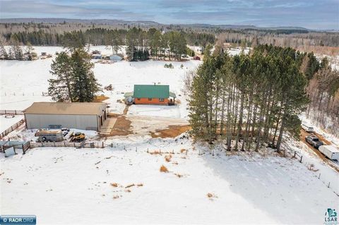 Tiny photo for 7713 Appaloosa Road, Embarrass, MN 55732 (MLS # 6124010)