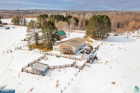 Tiny photo for 7713 Appaloosa Road, Embarrass, MN 55732 (MLS # 6124010)