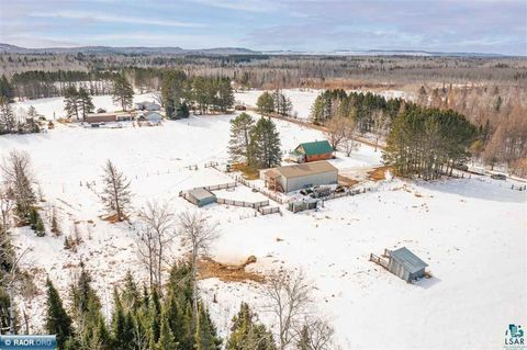 Tiny photo for 7713 Appaloosa Road, Embarrass, MN 55732 (MLS # 6124010)