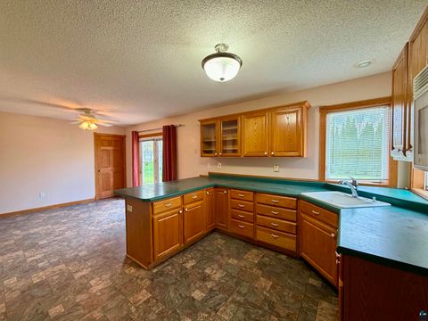Tiny photo for 401 W 17th St, Glencoe, MN 55336 (MLS # 6124832)