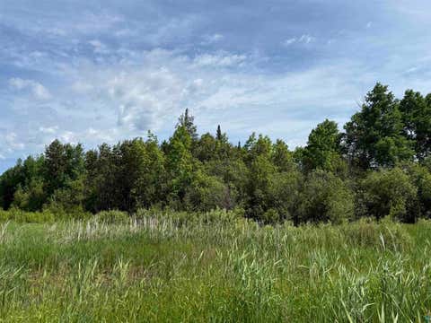 Tiny photo for 3 Parameter Rd, Deer River, MN 56636 (MLS # 6127543)