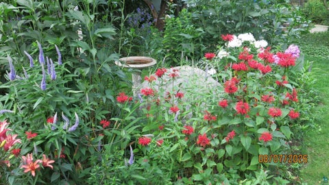Tiny photo for 9305 Congdon Blvd, Duluth, MN 55804 (MLS # 6127498)