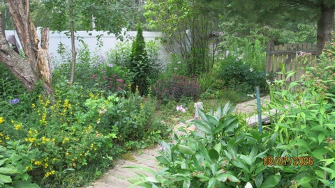 Tiny photo for 9305 Congdon Blvd, Duluth, MN 55804 (MLS # 6127498)