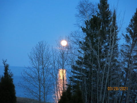 Tiny photo for 9305 Congdon Blvd, Duluth, MN 55804 (MLS # 6127498)