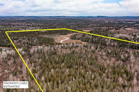 Tiny photo for 2850 Caribou Tr, Lutsen, MN 55612 (MLS # 6122874)