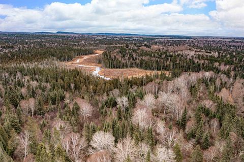 Tiny photo for 2850 Caribou Tr, Lutsen, MN 55612 (MLS # 6122874)