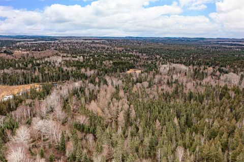 Tiny photo for 2850 Caribou Tr, Lutsen, MN 55612 (MLS # 6122874)