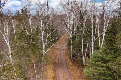 Tiny photo for 2850 Caribou Tr, Lutsen, MN 55612 (MLS # 6122874)