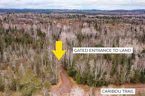 Photo of 2850 Caribou Tr, Lutsen, MN 55612 (MLS # 6122874)