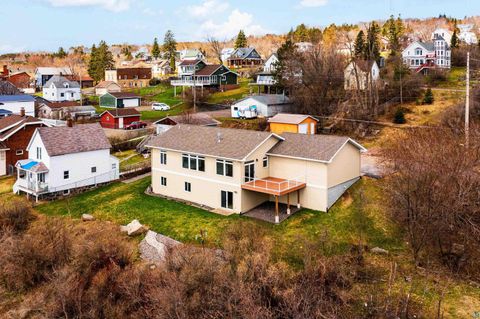 Tiny photo for 703 W 4th St, Duluth, MN 55806 (MLS # 6125038)
