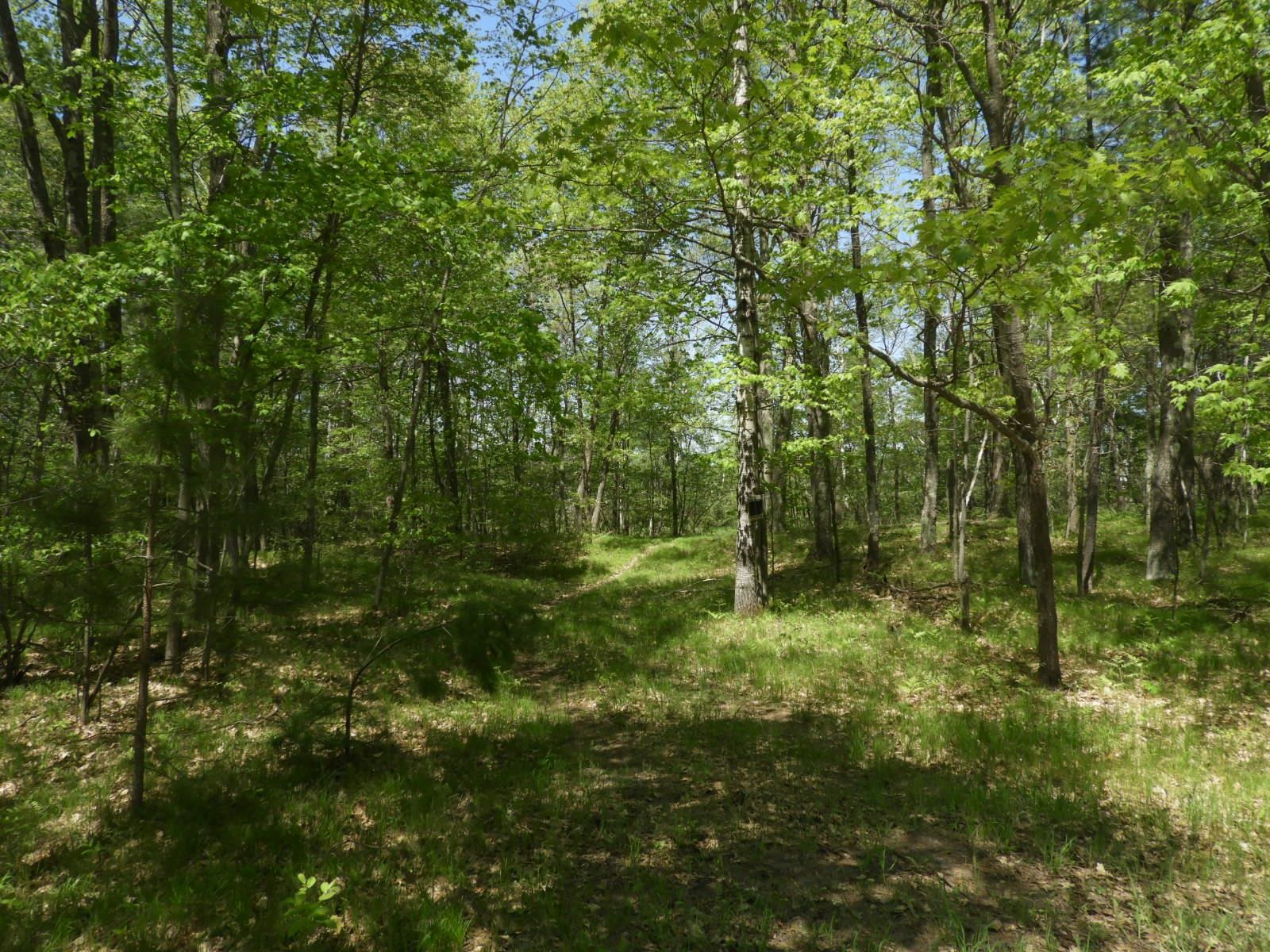 625X Iron Lake Rd