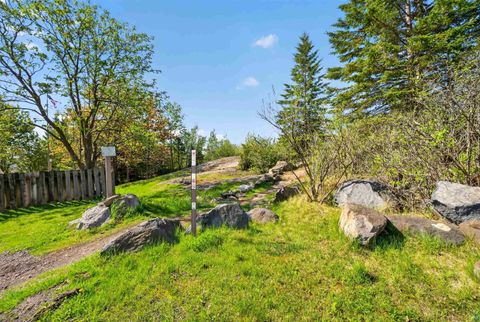 Tiny photo for 2711 W 9th St, Duluth, MN 55806 (MLS # 6125568)