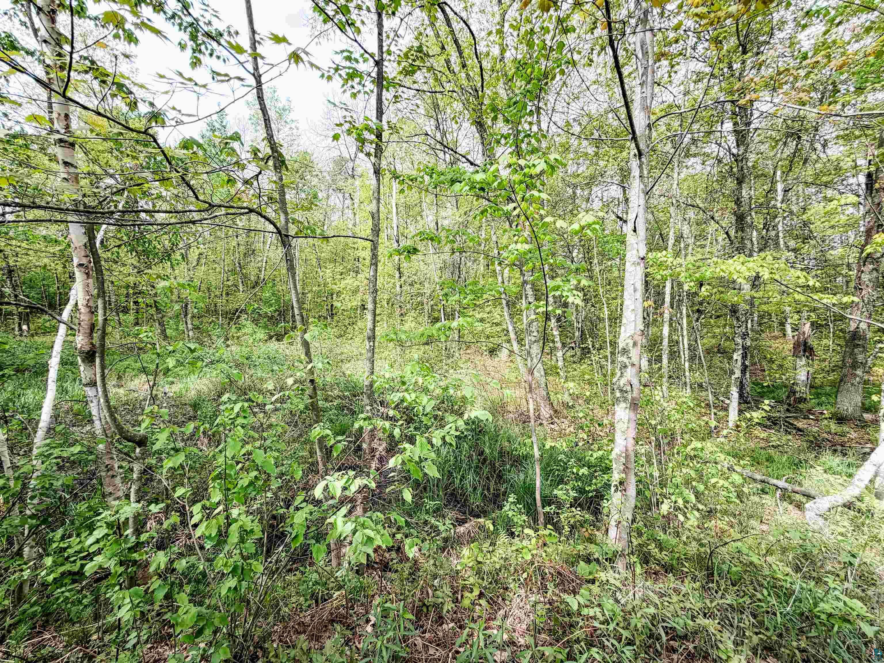Lot 1 Peterson Rd