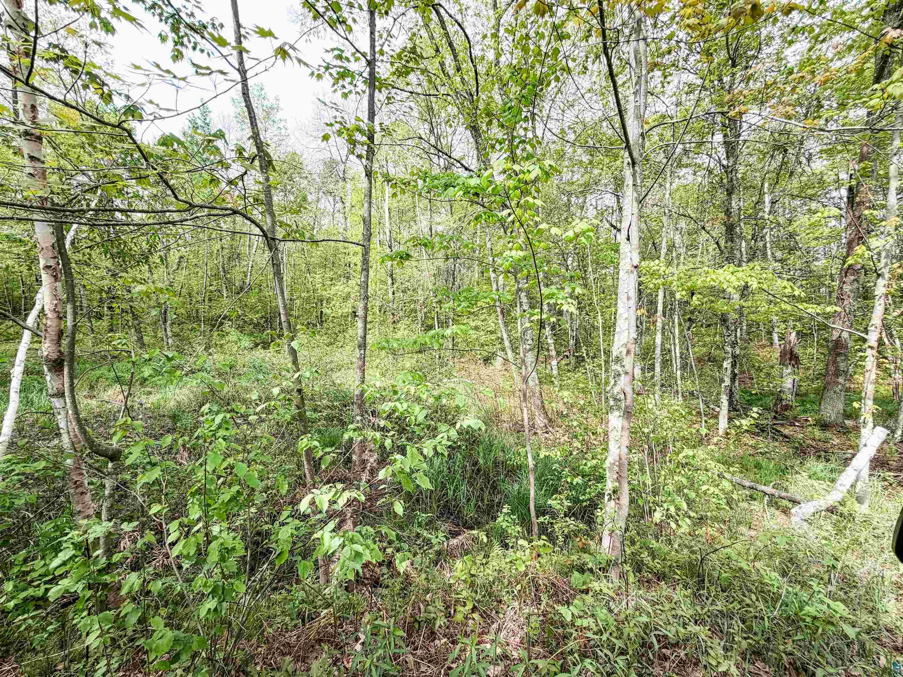 Lot 1 Peterson Rd