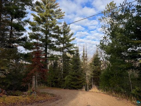 Tiny photo for 2922 Chaps Rd, Cook, MN 55790 (MLS # 6125097)