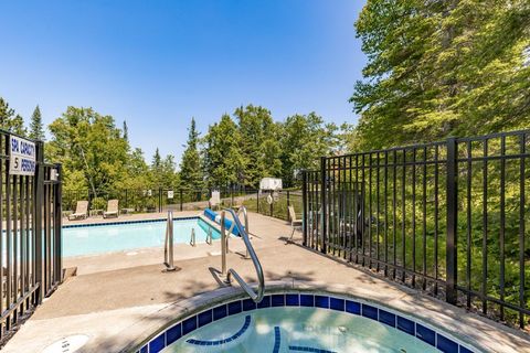 Tiny photo for 154053 Superior Shores #53, Two Harbors, MN 55616 (MLS # 6123012)