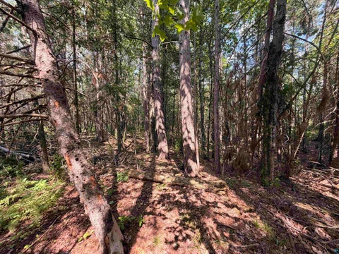 Tiny photo for 209 US Highway 2, Mason, WI 54856 (MLS # 6128136)